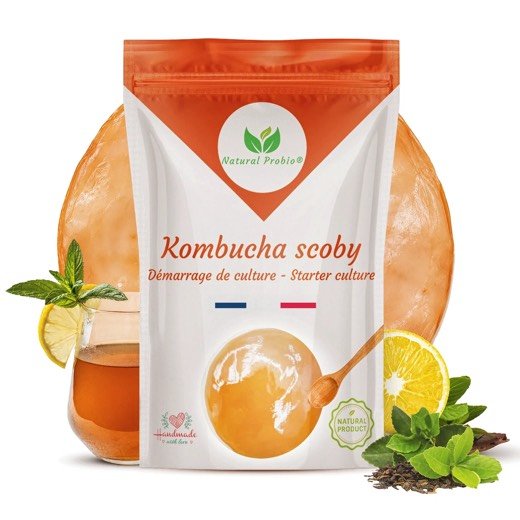 Sachet de SCOBY de kombucha Natural Probio
